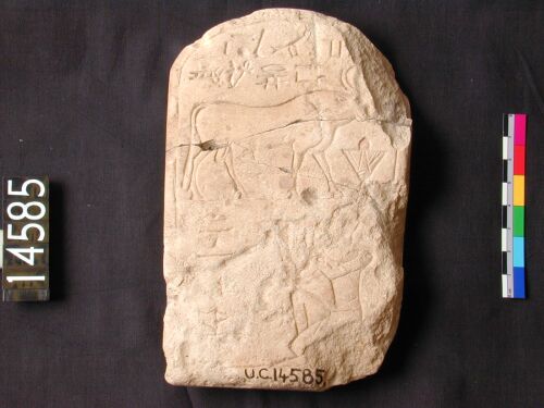 UC 14585, Menvis stela
