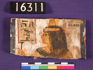 UC 16311, fragment of a shabti box (?)