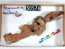 UC 30576, wooden Osiris figure