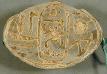 scarab UC 11638