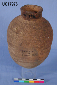 UC 17976, pottery vessel found at Denderah
