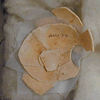 UC 27895, oistrich eggshells found at Gurob