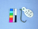UC 7251, fish hook from Lahun