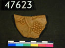 UC 47623, pot sherd with grape, found at Memphis; Roman Period
