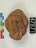 UC 47871, terracotta from Memphis