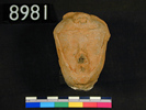 UC 8981,  terracotta from Memphis