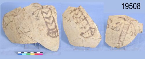 UC 19508, date palms painted on sherds; mediaeval period
