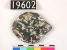 UC 19602, cosmetic palette in shape of a turtle