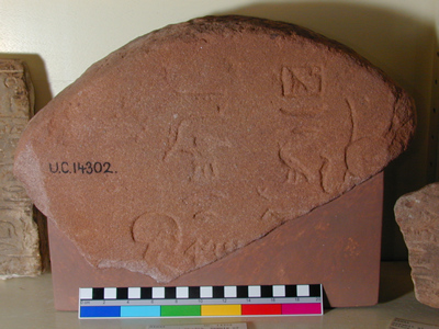 UC 14302, found at Sinai