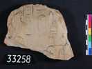 UC 33258, ostracon with picture of Ahmes Nefertari