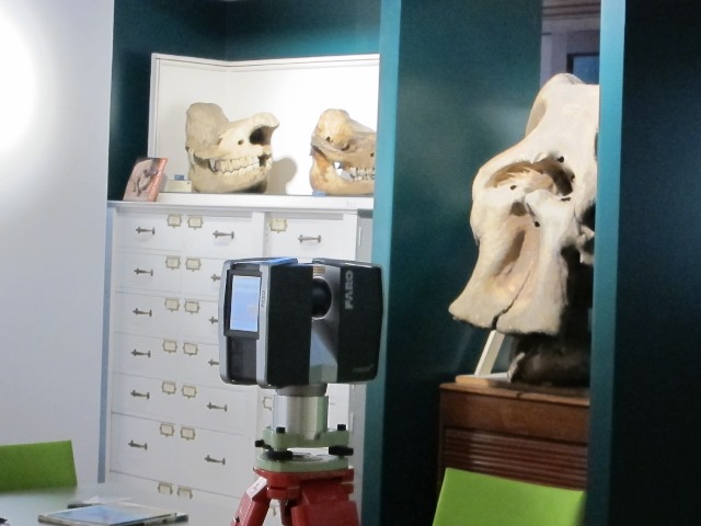 3D laser scanning (TLS) in the new Grant Museum of Zoology with Focus3D by Faro