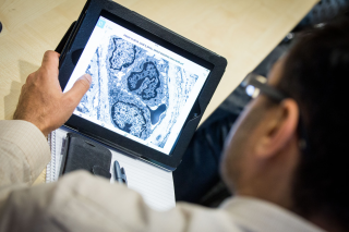 Photo of man looking at histopathology slides on an iPad