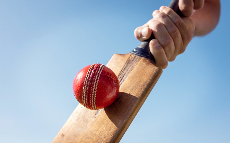 Classism, racism and misogyny widespread in cricket, finds report
