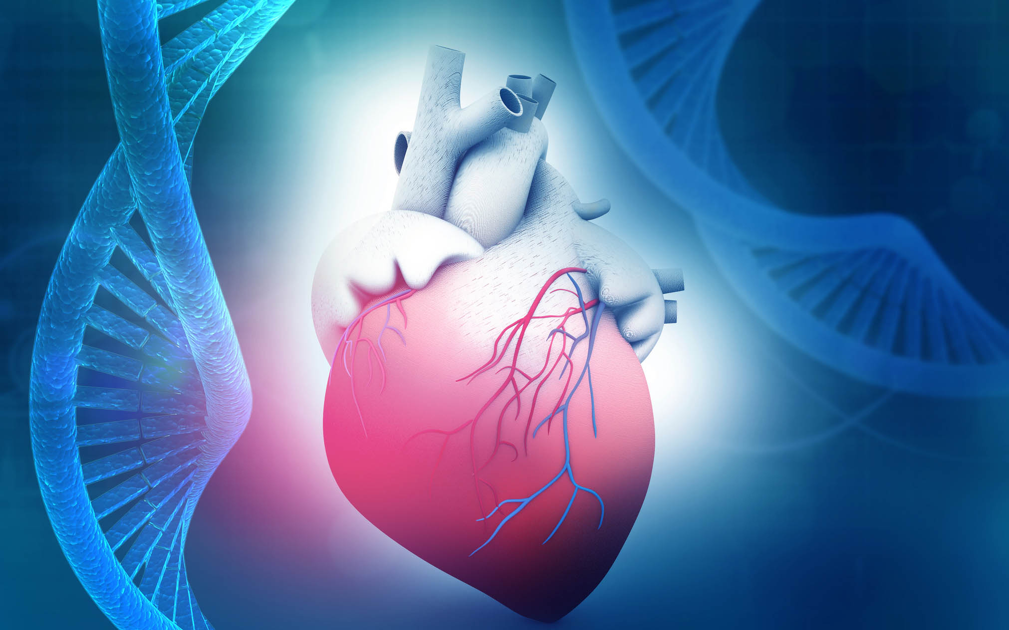 New cause of inherited heart condition discovered | UCL News - UCL –  University College London