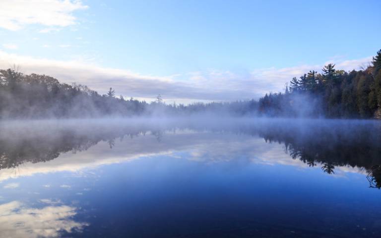 A lake surrounded by trees with wisps of mist on its surface.