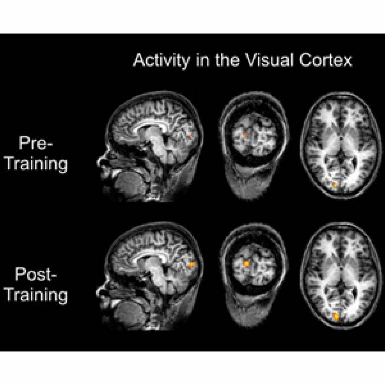 Brain activity pre and post training
