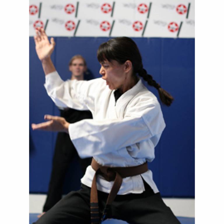 Karate expert