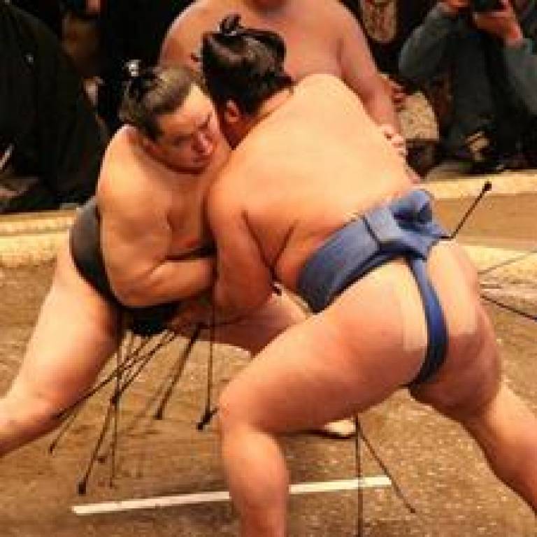 Sumo Wrestlers