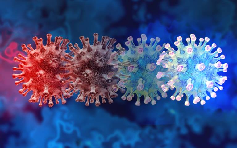 Dominant Alpha variant evolved to evade our innate immune system