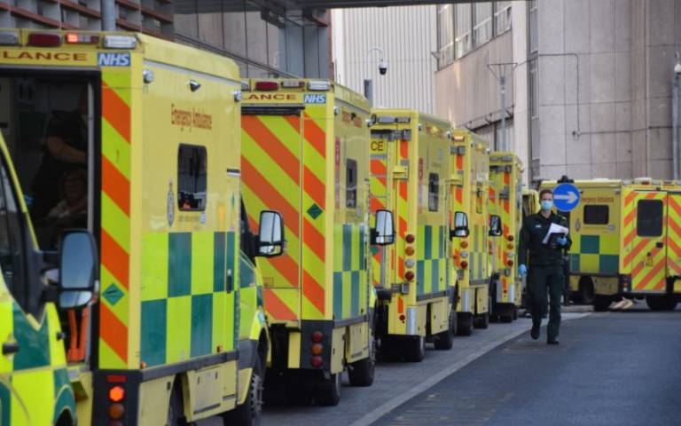Ambulances lined up 