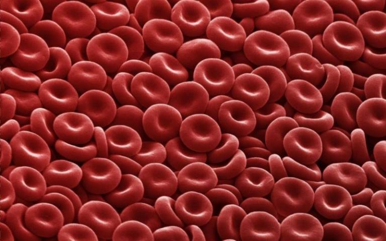 US regulator approves first ever gene therapy for people with haemophilia A