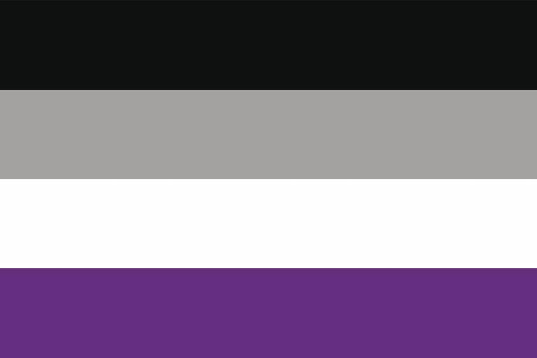The Asexual Pride flag - four horizontal stripes, from top to bottom, of black, grey, white and dark purple