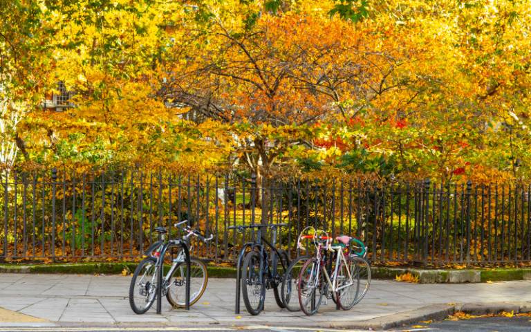 Four bicycles attached to bike stands in front of railings. Behind the railings are trees with leaves in bright Autumn colours of red, yellow and orange.