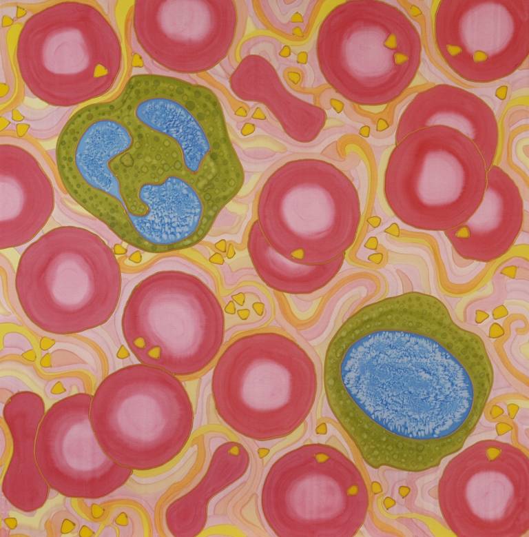 Bloob cells