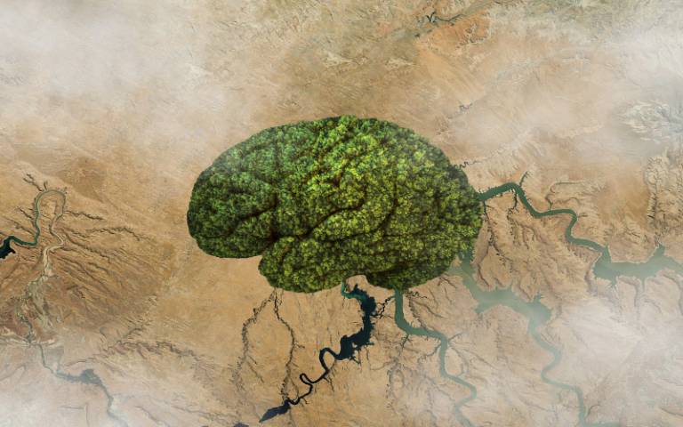 Forest shaped like a brain in the middle of cracked dry land