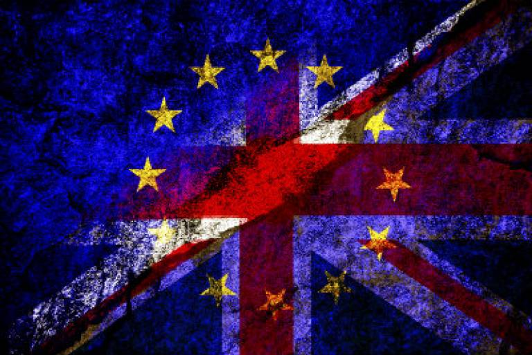 UCL mock referendum on Brexit