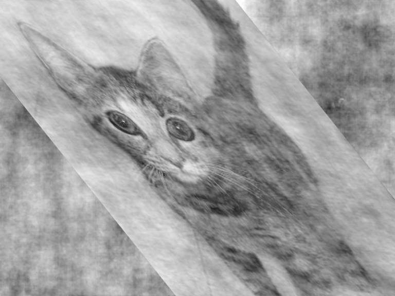 Distorted cat image