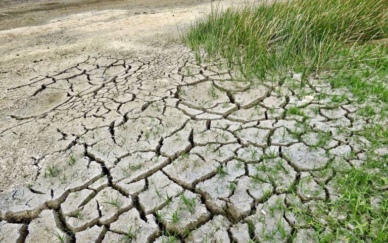Dry, cracked earth with grass
