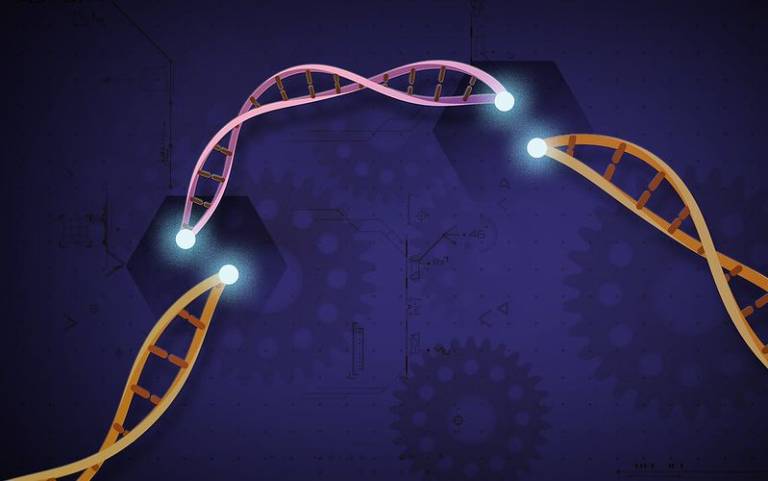 CRISPR-Cas9: Credit NIH image gallery