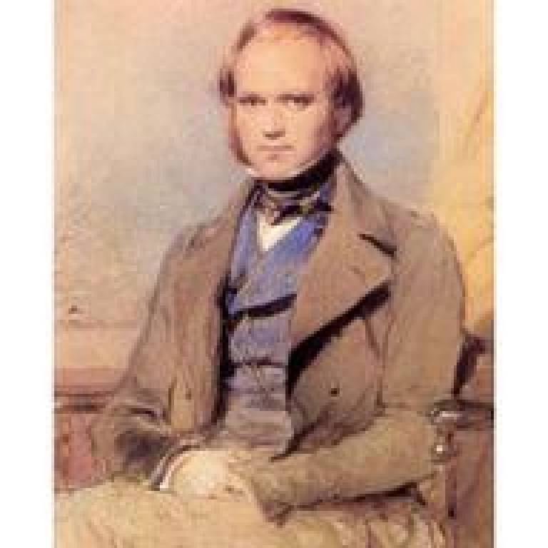 Darwin's wedding portrait