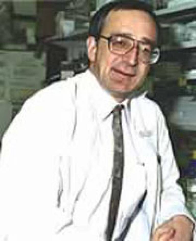 Professor David Isenberg