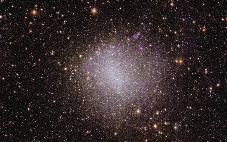 Euclid's view of Irregular galaxy NGC 6822