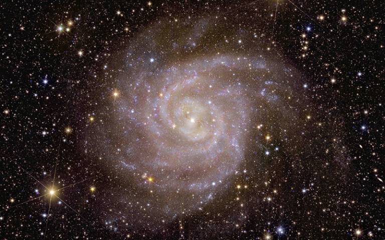 Euclid view of spiral galaxy IC 342