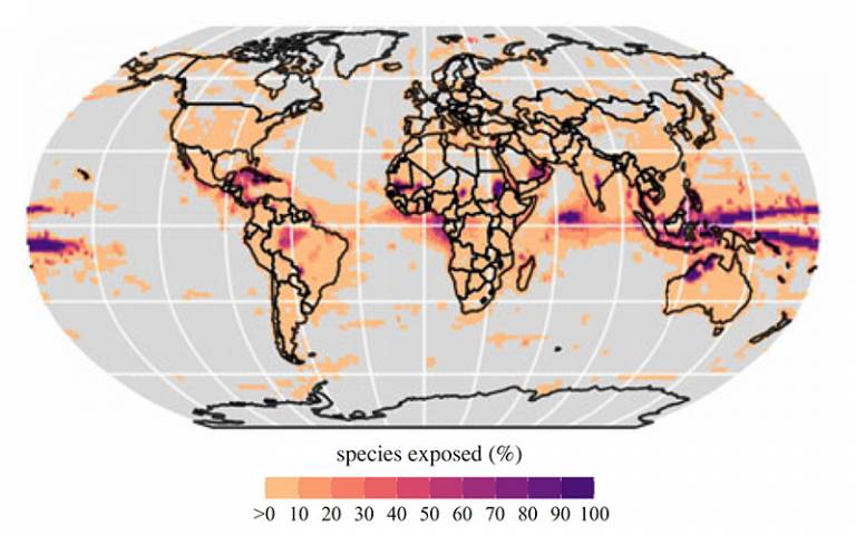 Map showing where animals are vulnerable to climate change