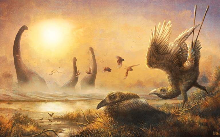 Illustration of ancient bird Falcatakely
