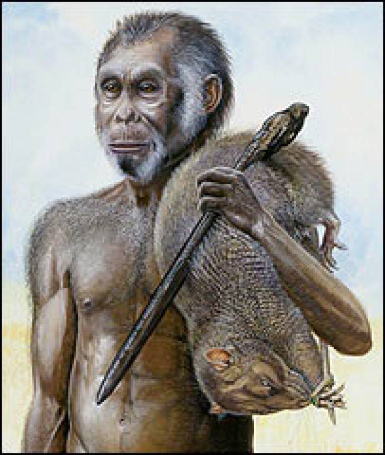 Artist’s impression of a male Homo floresiensis (National Geographic)