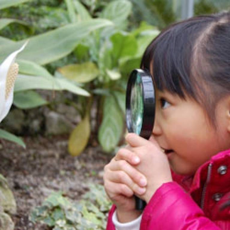 Girl investigating garden plants