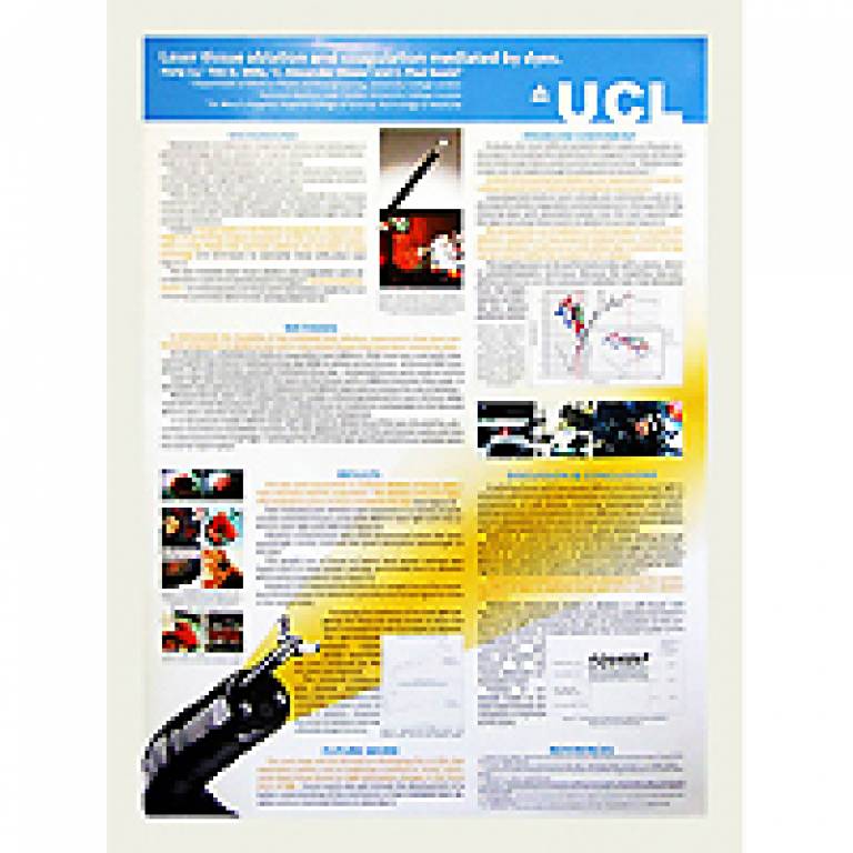 UCL Graduate School Poster exhibition