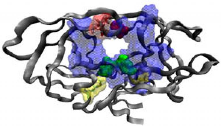 HIV protease 1