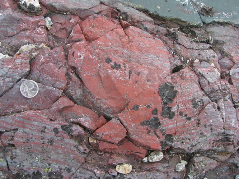 Layer-deflecting bright red concretion of haematitic chert (an iron-rich and silica-rich rock), which contains tubular and filamentous microfossils. This co-called jasper is in contact with a dark green volcanic rock in the top right and represent hydroth