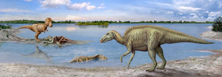 Our ancestors evolved faster after dinosaur extinction | UCL News - UCL –  University College London