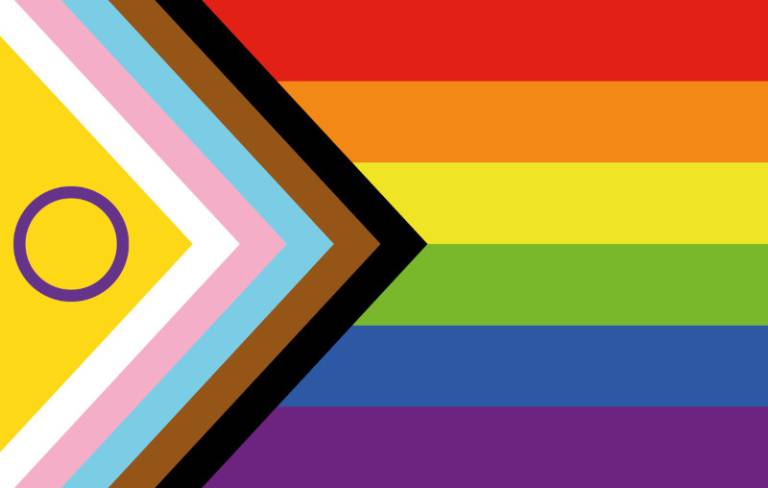 The intersex inclusive pride flag. The flag shows horizontal rainbow stripes on the right hand side, and on the left hand side a chevron with black, brown, pale blue, pale pink, white and yellow stripes with a purple ring motif to the far left