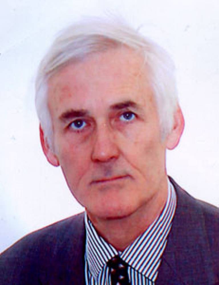 Professor Lord Julian Hunt