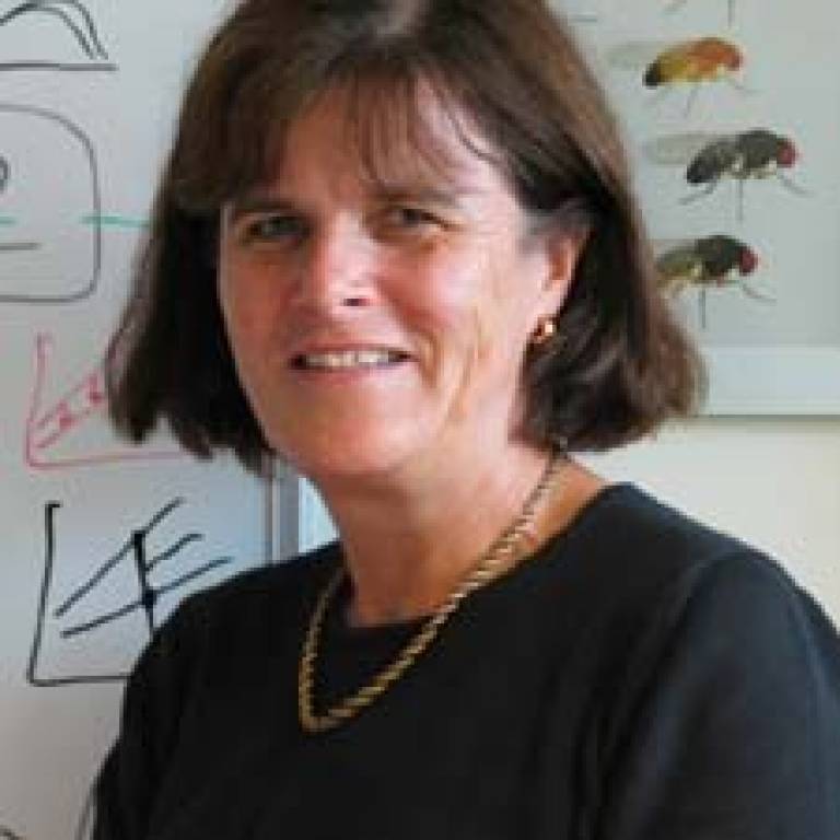 Professor Linda Partridge