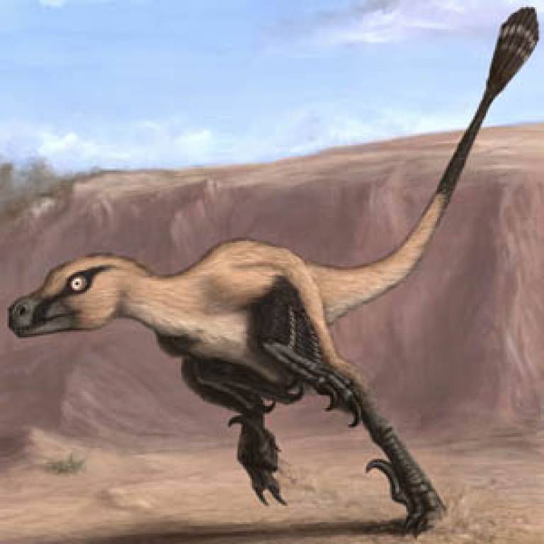 Linheraptor