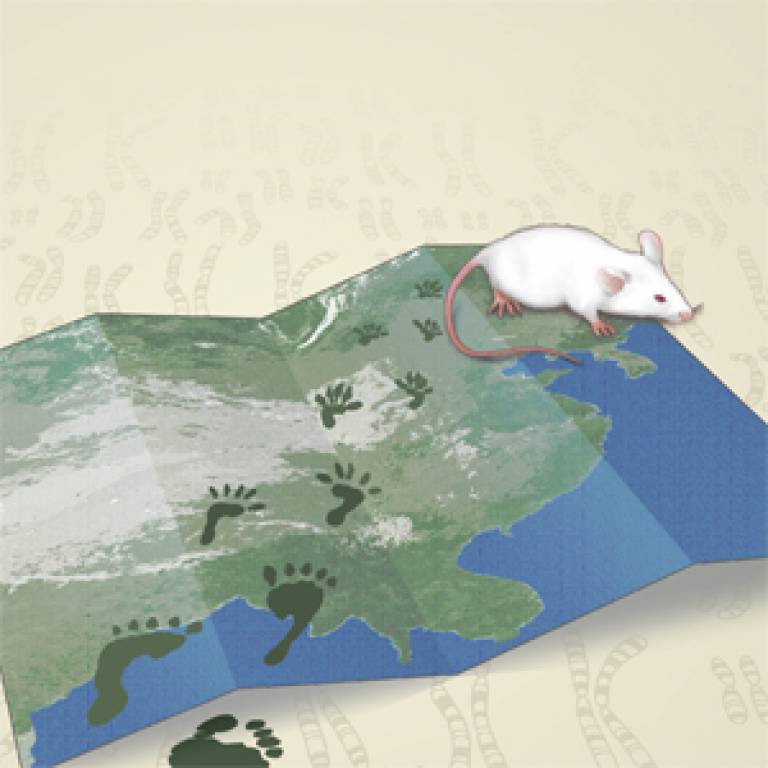 Mouse map